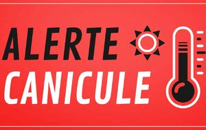 Pas d'entrainement groupe demi-fond 